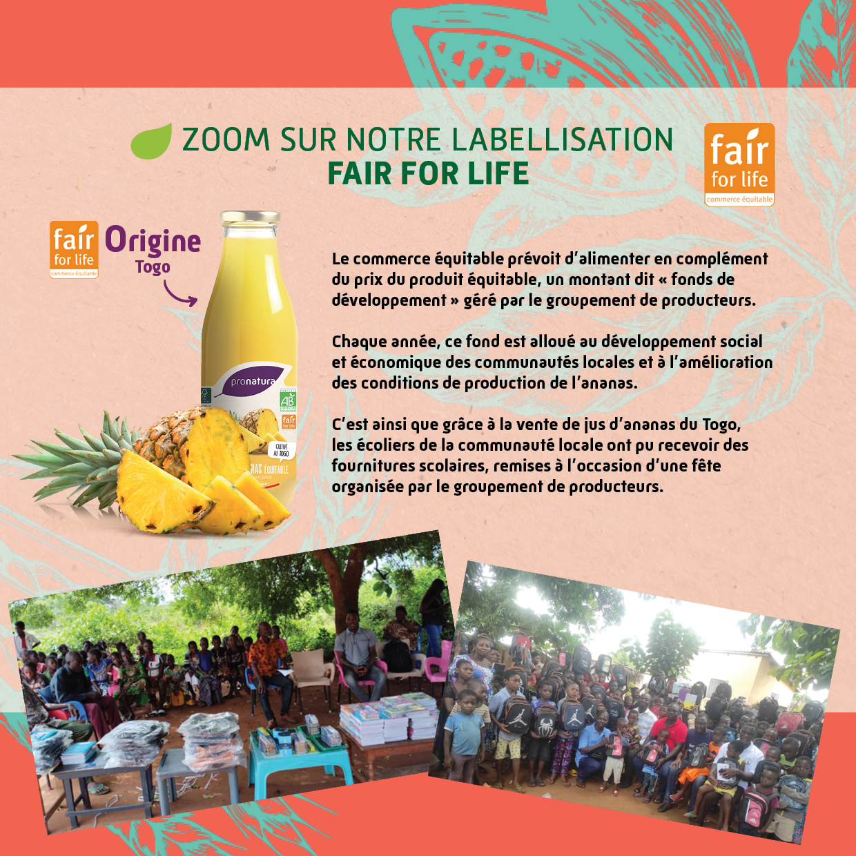 Fair For Life - Jud d'ananas duTogo
